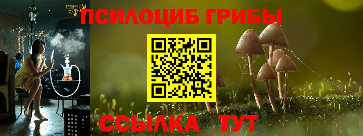 Галлюциногенные грибы MAGIC MUSHROOMS  Псилоцибиновые грибы мухоморы  Вход с VPN  Первоуральск 
